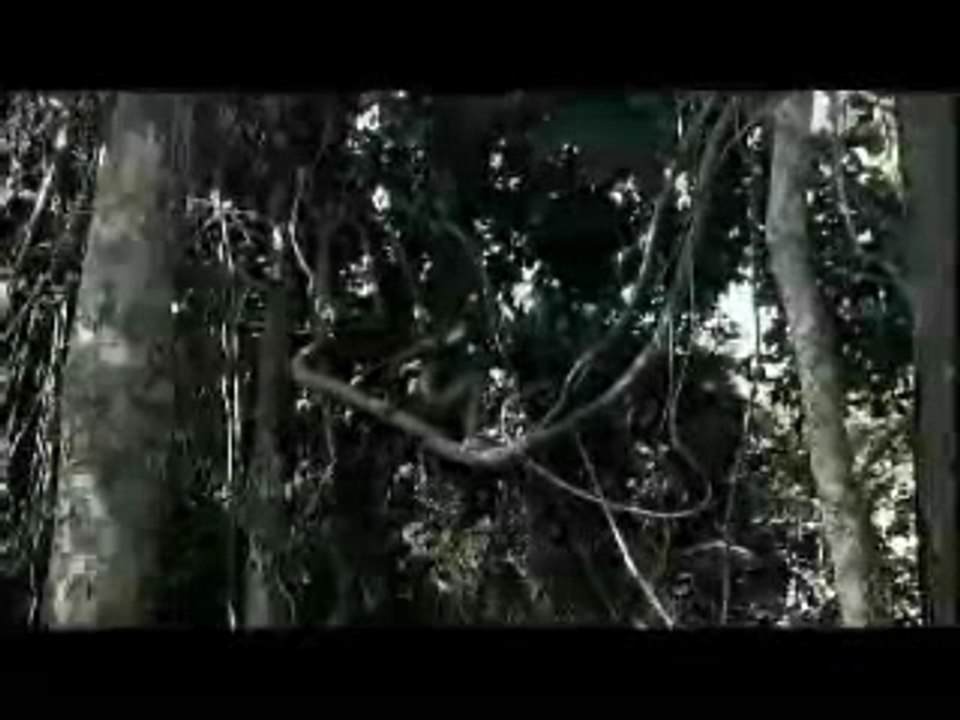 genocide_congo