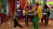 Austin & Ally Kangaroos & Chaos Review--Disney Channel Disasters