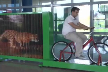 Deneyerek öğreniyorlar