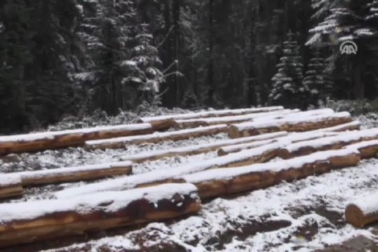 Ilgaz Dağı'nda yoğun kar yağışı