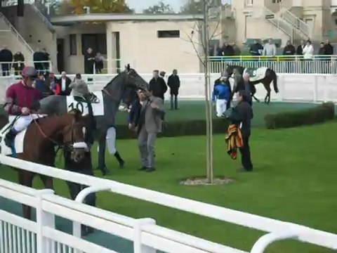 Rond de présentation des chevaux de la 2ème course-Chantilly (09-11-2012) 2