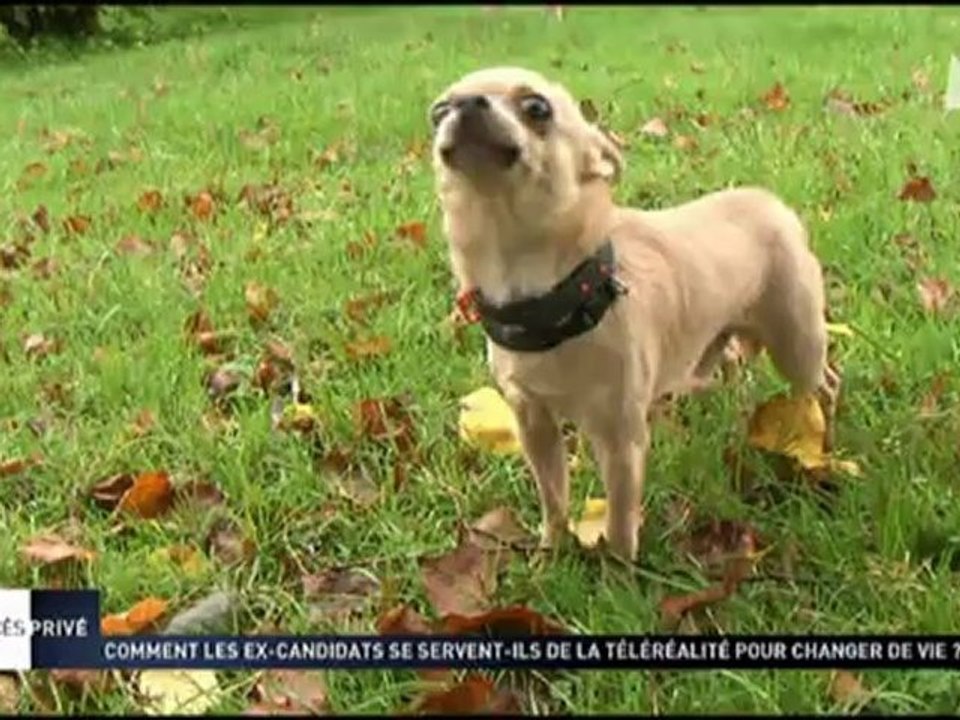 Marilyn Dupuis dans accès privé le 10 novembre 2012