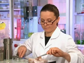 Контрольная закупка 05