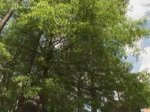 Solved. s01.e04. Old habits die hard