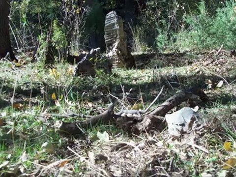 Yeşilbağ Köyü - Eskiköy Fotoğrafları - Mayder.net
