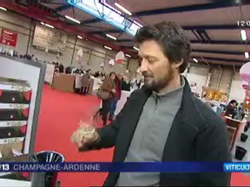 Reims : Le Salon des Vins 2012 ( vignerons indépendants)