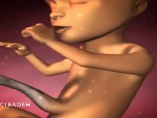 meleklermekani.com - gebelik 2