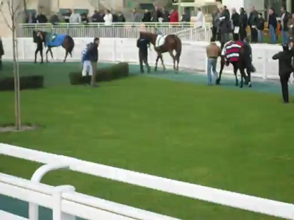 Rond de présentation des chevaux de la 2ème course-Chantilly (09-11-2012)