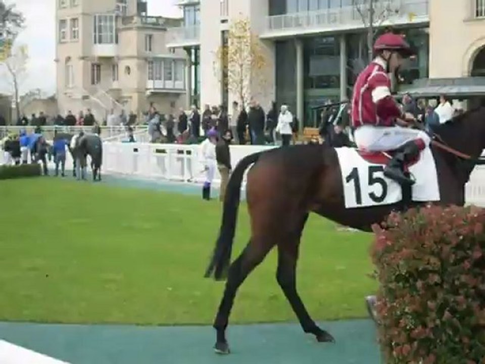 Rond de présentation des chevaux de la 3ème course-Chantilly (09-11-2012)