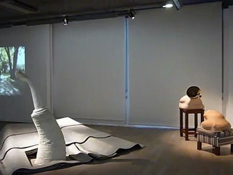 « WANI », Fondation d’Entreprise Ricard, du 08 avril au 21 mai 2011.