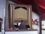 Star of ocean, lead us - Chris Lawton at St Peter's Catholic Church, Shoreham-by-Sea