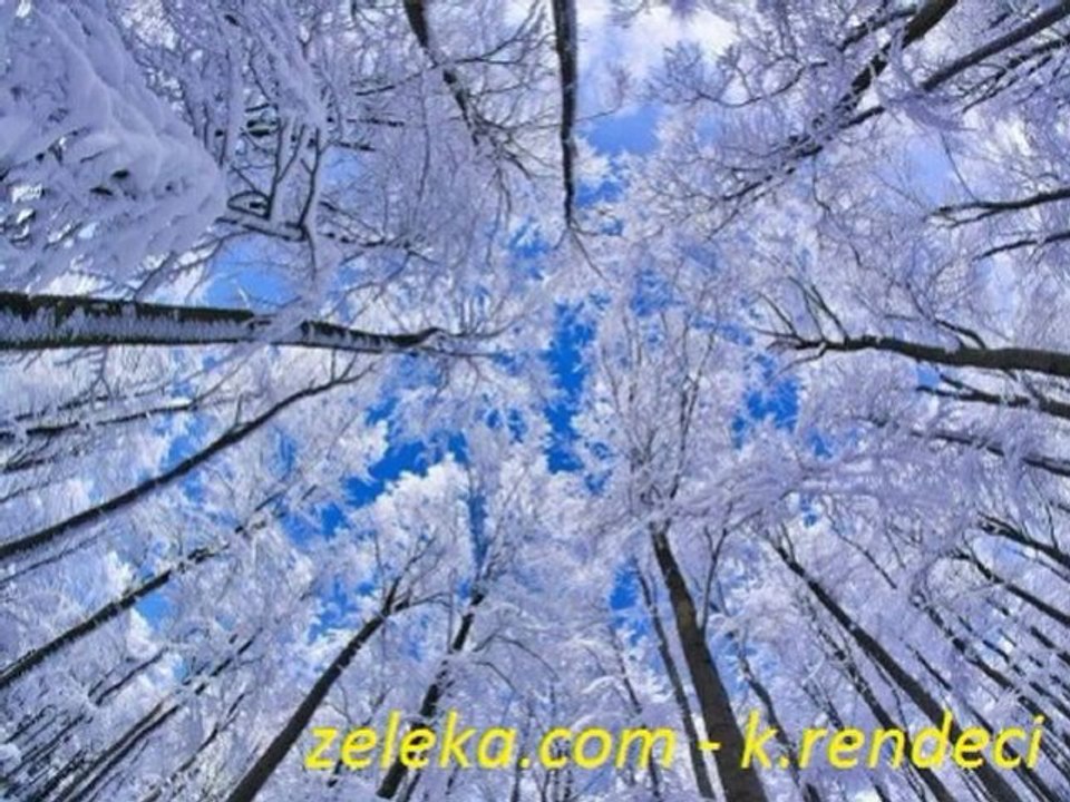 Hikaye-Masal- Öykü-kul_kedisi