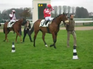Retour des chevaux de la 4ème course -Chantilly (09-11-2012)