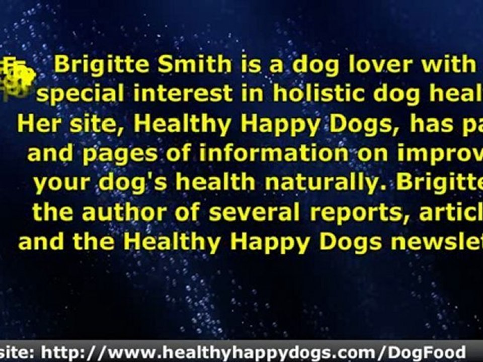 377957-DogHealthCareTips_CommercialPetFoodforYourDog.avi