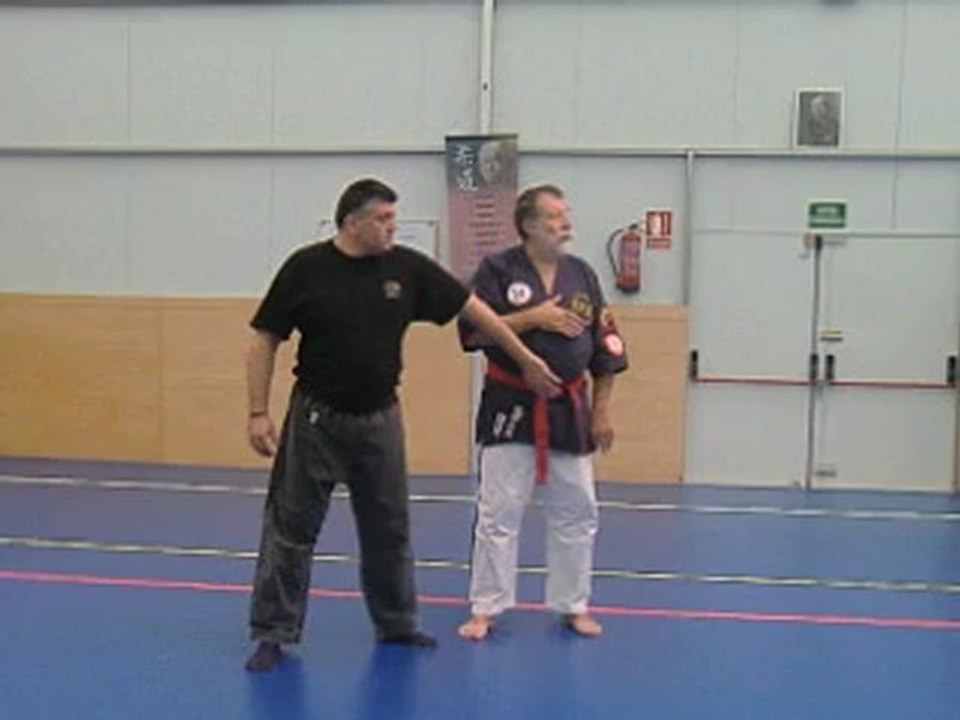 Cycle de destruction en Kyusho-Jitsu © avec les postures Feu et Eau et frappe sur San Jiao 12r TR 12