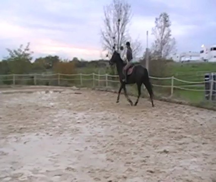 Saut2