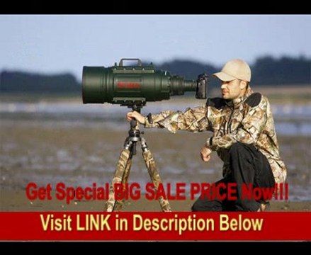 Sigma 200-500mm f/2.8 APO EX DG Ultra-Telephoto Zoom Lens for Canon DSLR Cameras REVIEW