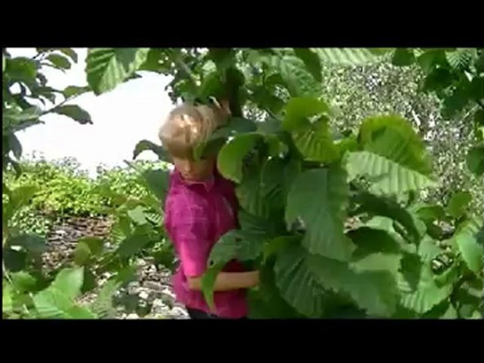 Lost Away Trailer