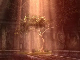 DreamScene 7 ou similar para fundo de desktop 🌳