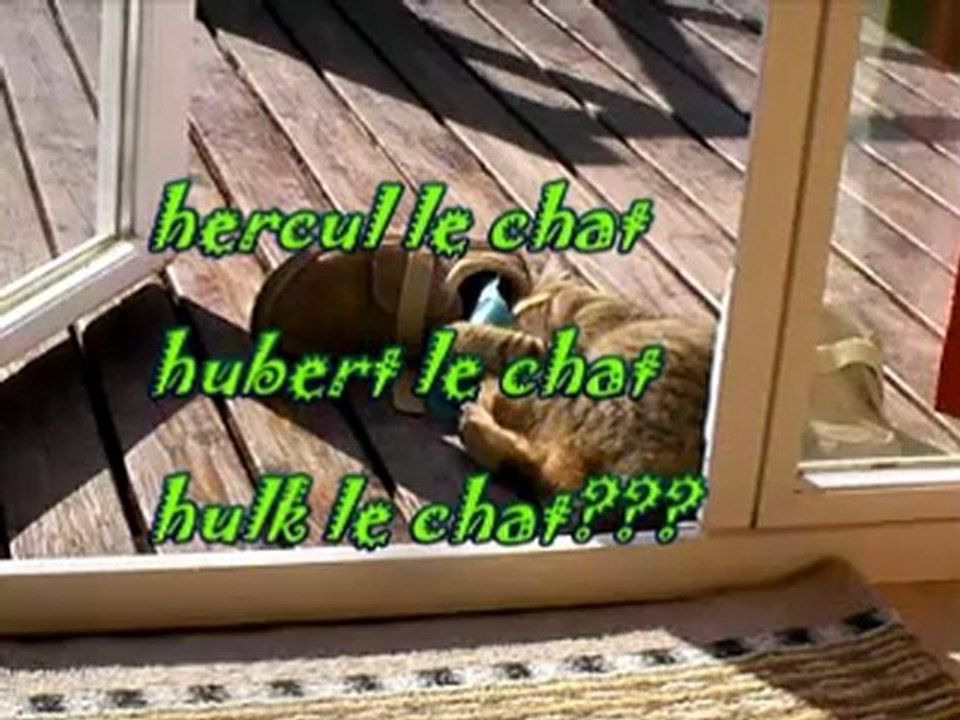 hercul net