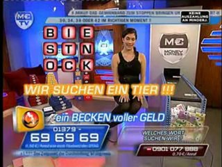 Sticken und Stein im Bienenstock der Drossel VIVA 05.05.08