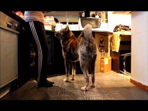 Eïko apprend à fermer une porte de placard à l'aide des méthodes d'éducation naturelles