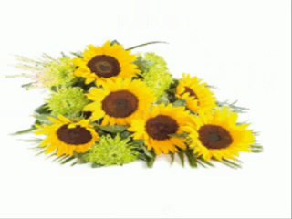 Aklım Takıldı Orhan Gencebay...yavuz959