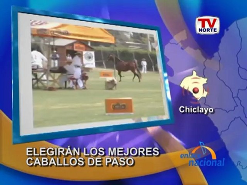 Lambayeque Concurso de Oro elegira a los mejores caballos de paso