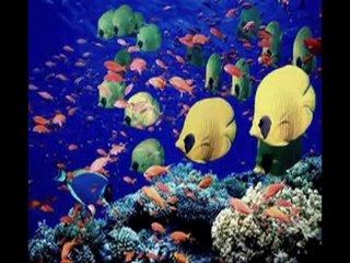 Sửa chữa vòi sen,ống gen tại quận 7 tphcm call 0907 323 053