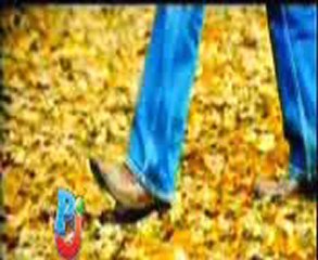 SOHNIYEY DIL NAI LAGA DA.1000