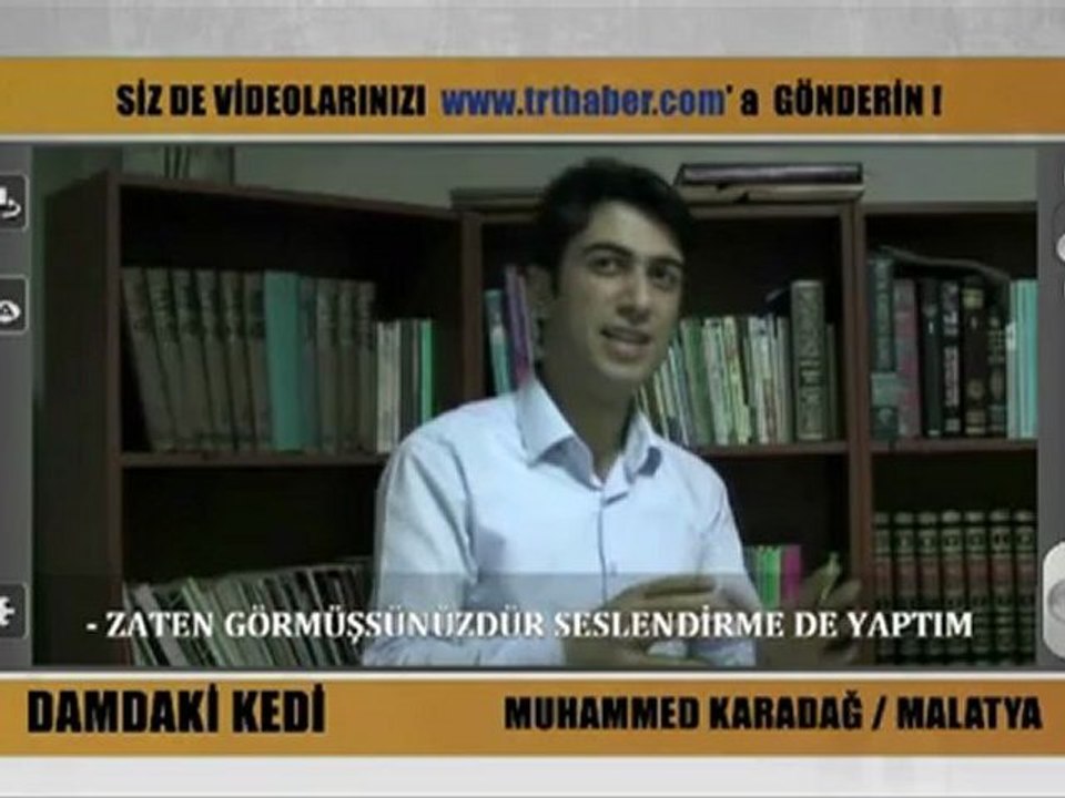 Damdaki Kedi