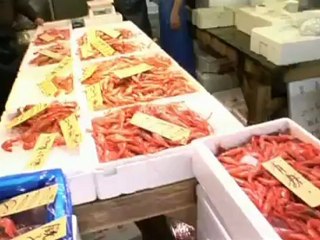 Japanese Cuisine - JapanRetailNews