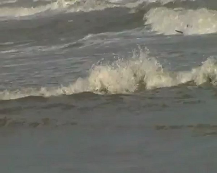 Surf a Cervia 11novembre 2012