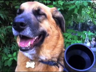 Granger Gets A Squirrel