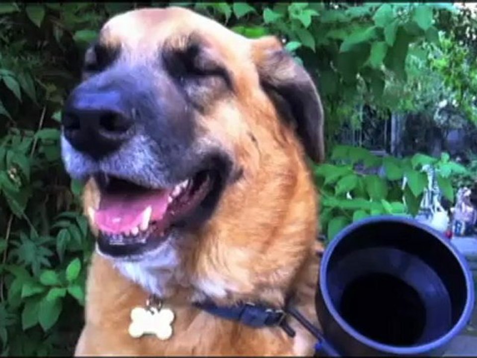 Granger Gets A Squirrel