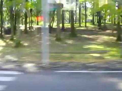 L'homme aux brosses à dents