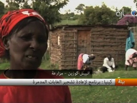 كينيا : برنامج لإعادة تشجير الغابات المدمرة