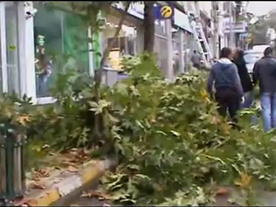 AĞAÇ BUDAMA ÇALIŞMASI