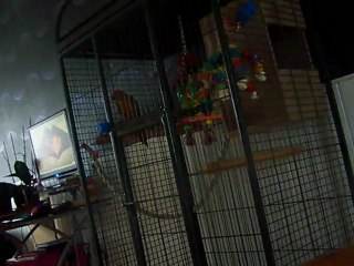 Photo 1248 crie de tequila