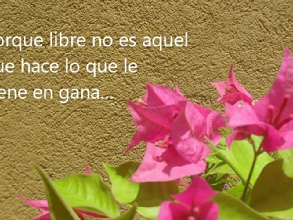 flecha sin destino