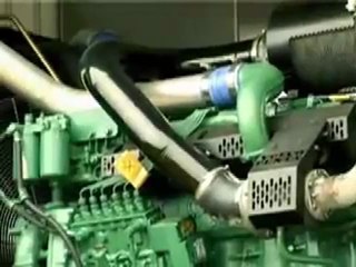 Broyeuse à poules ChickPulp