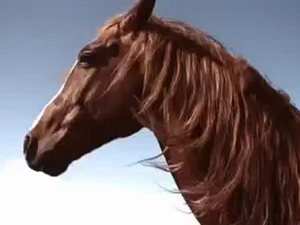 Hermès - Voyage D'Hermes