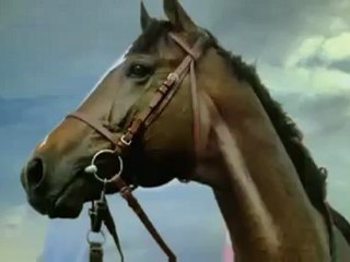 Prix de l'Arc de Triomphe 2008