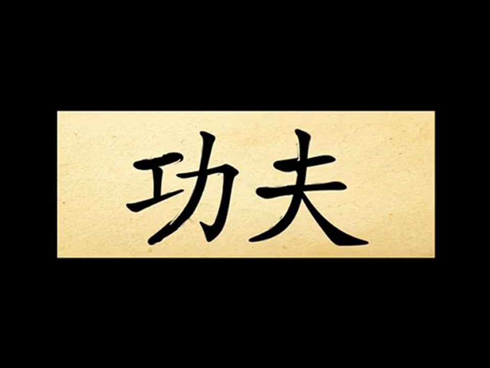 Кунг фу. Техника броска. Занятия, обучение в Москве.