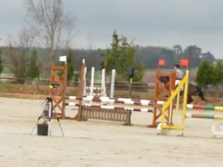 St Eti. Ambre Tango 5ans D