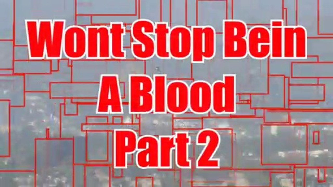 Mitchy Slick & Tha WrongKind "Won't Stop Being a Blood" Pt.2