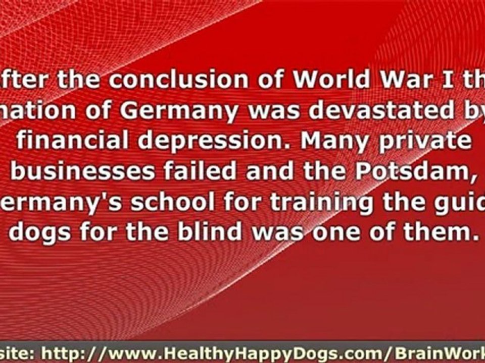 Dogs For The Disable