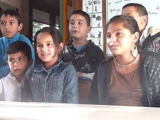 les petits poissons dans l'eau