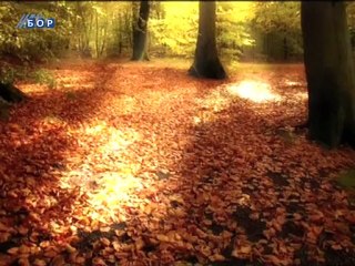 Oko istoka, 12. novembar 2012.