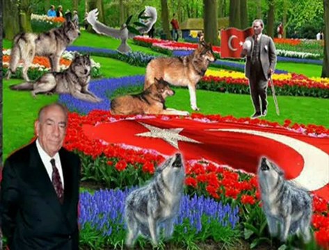 ey türk titre özüne dön ALİ REİS